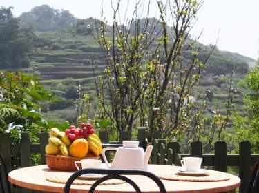 Ferienhaus auf riesiger Finca in Tegueste mit Grillplatz