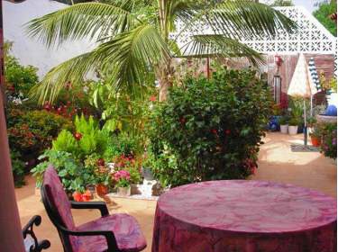 Apartment in La Orotava mit Meerblick, Dachterrasse und Garten
