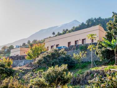 Ferienhaus auf kanarischer Finca mit Dachterrasse bei Ico de los Vinos