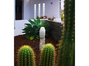 Ambiente