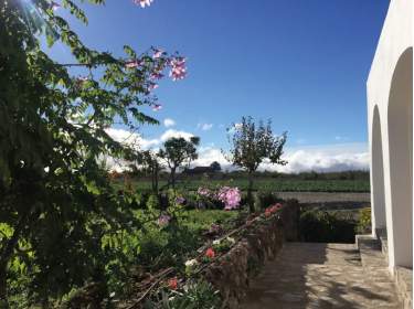 Ferienhaus mit 3 Schlafzimmern auf Bio-Weingut in Vilaflor