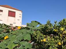 Teneriffa News für Urlauber KW 13-26