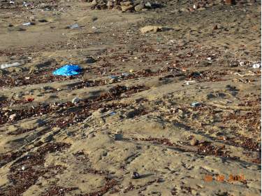 Müll am Strand von El Médano
