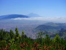 Teneriffa mit Teide